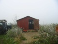 The Chicken Shed